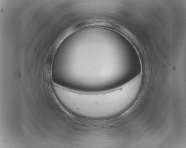 X0000062151377200512090940