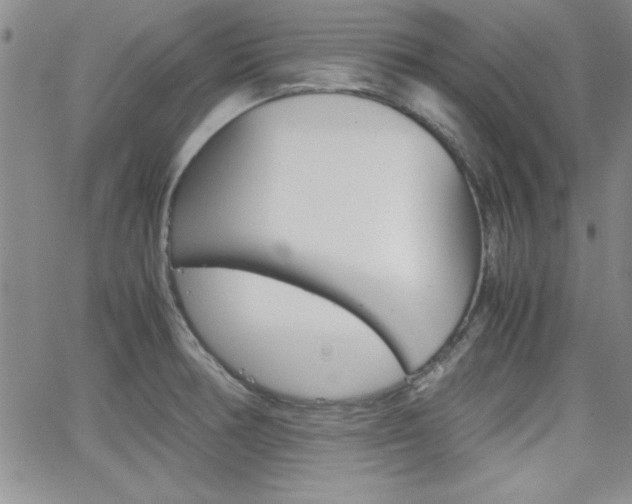 X0000062151378200512090940