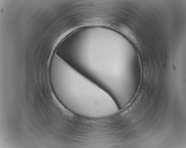 X0000062151380200512090940