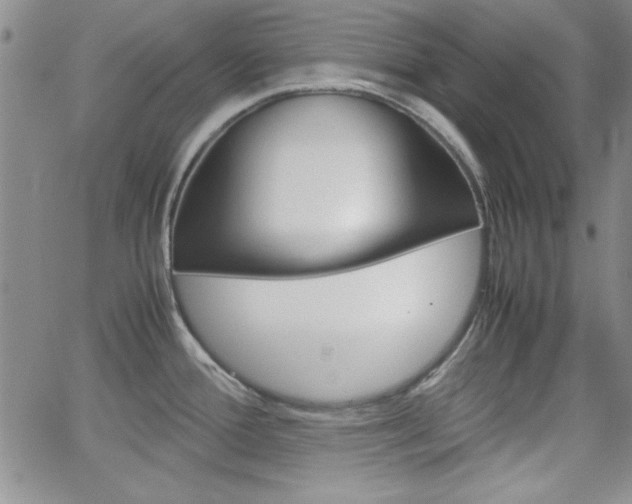 X0000062151388200512090939