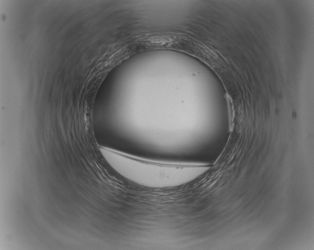 X0000062151394200512090939