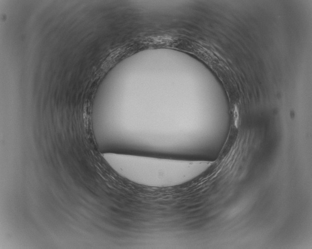 X0000062151395200512090939