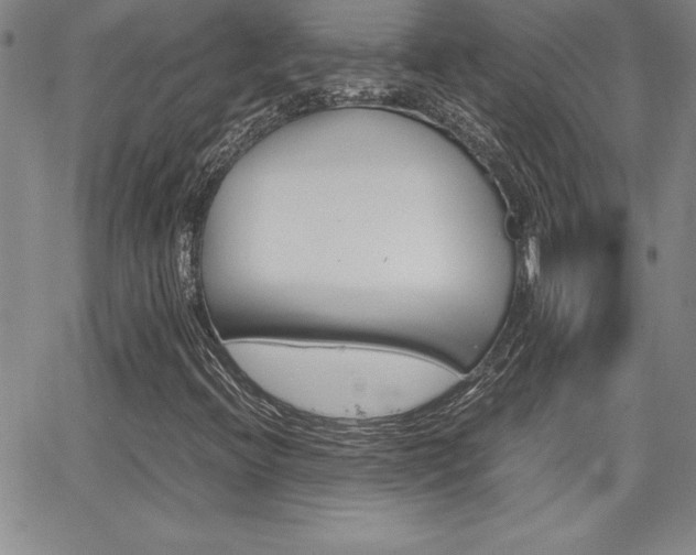 X0000062151396200512090939