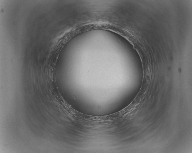 X0000062151398200512090939
