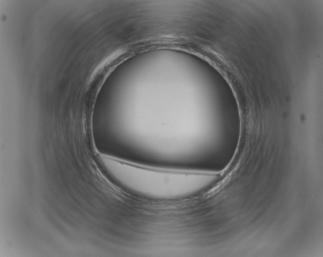 X0000062151402200512090939