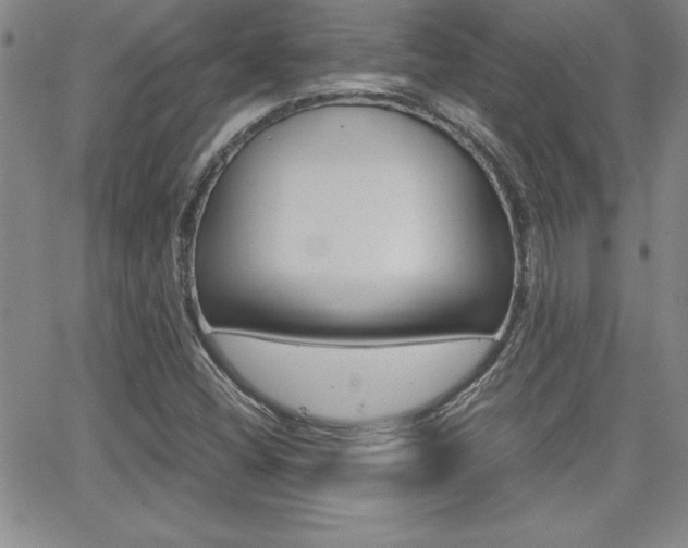 X0000062151404200512090939