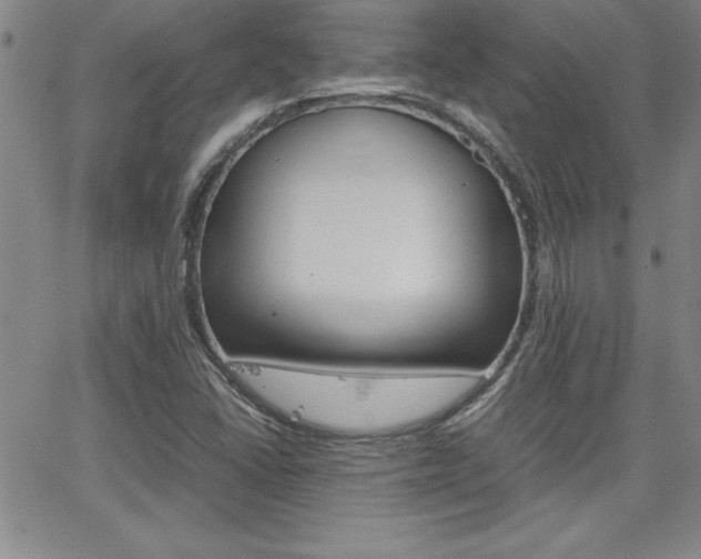 X0000062151406200512090939