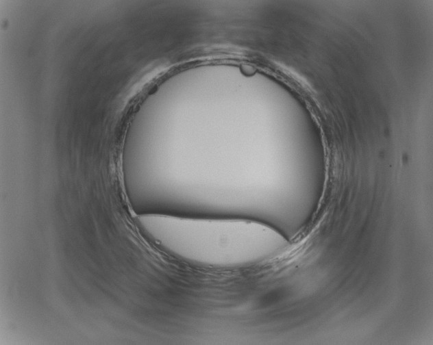 X0000062151407200512090939