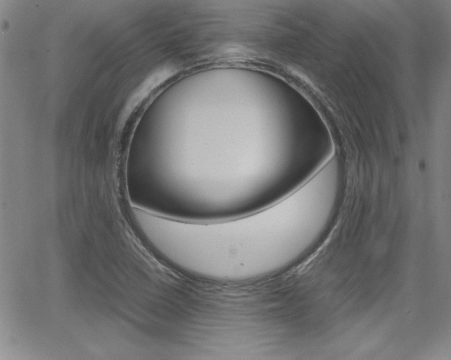 X0000062151410200512090939