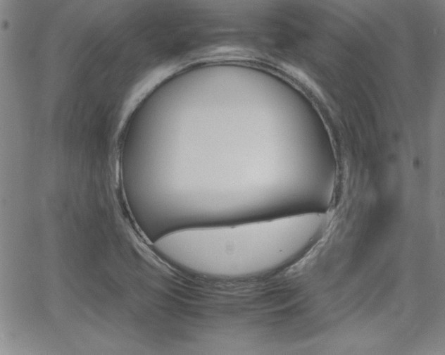 X0000062151413200512090939
