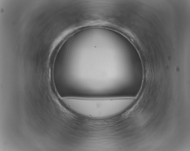 X0000062151414200512090939