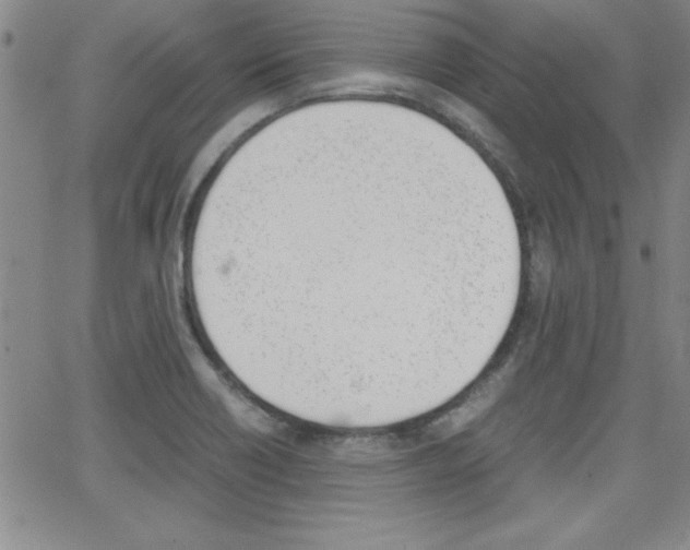 X0000062151418200512090939