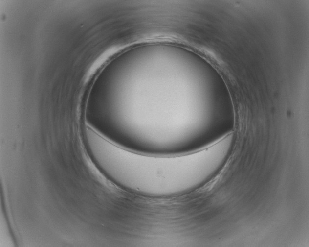 X0000062151422200512090939