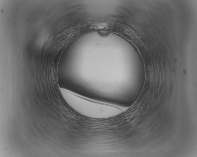 X0000062151442200512090939