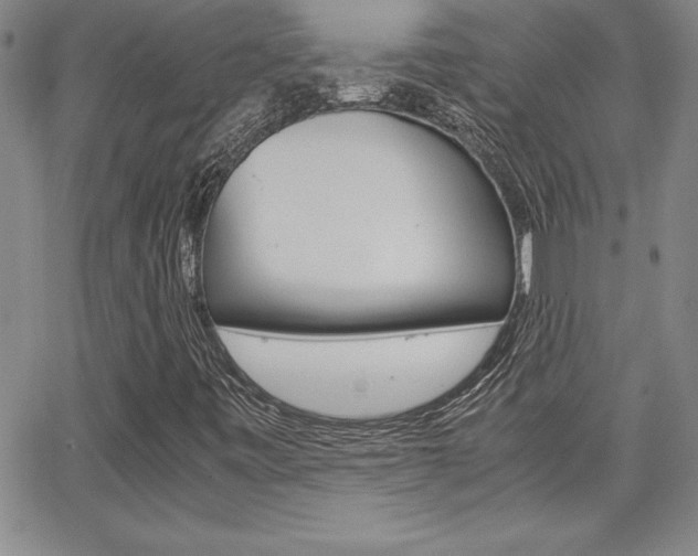 X0000062151443200512090939