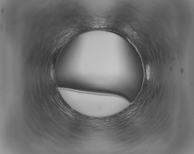 X0000062151444200512090939