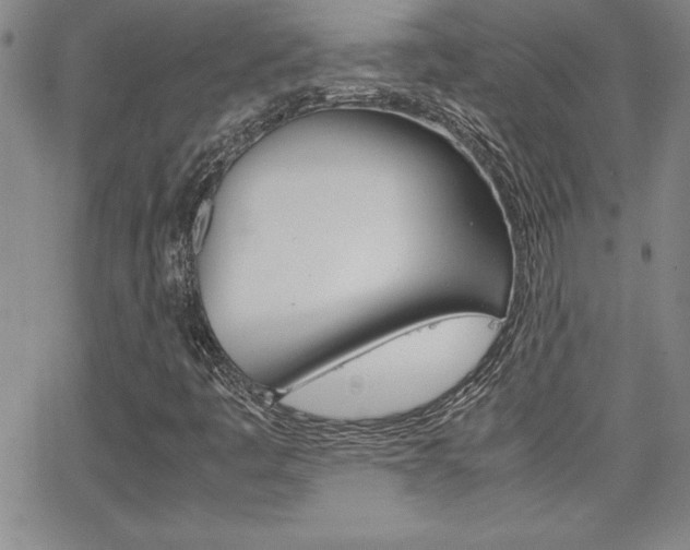 X0000062151445200512090939