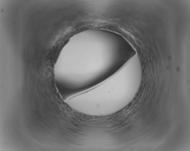X0000062151447200512090939