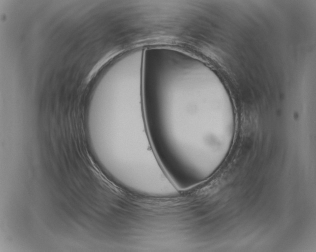 X0000062151450200512090938