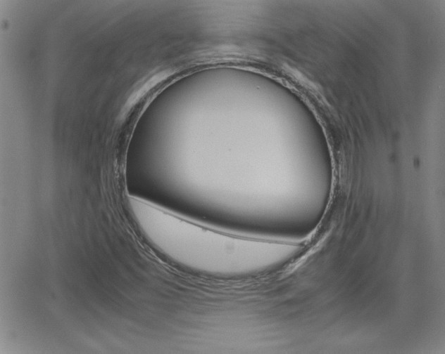 X0000062151453200512090938