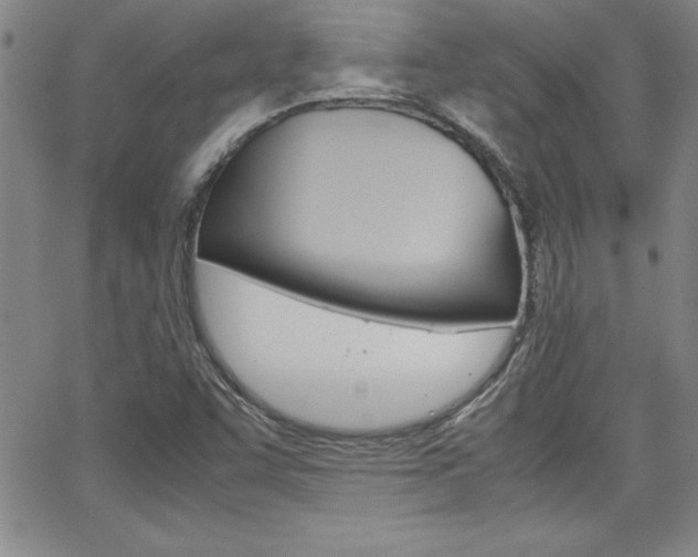 X0000062151455200512090938