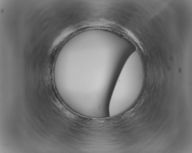 X0000062151456200512090938