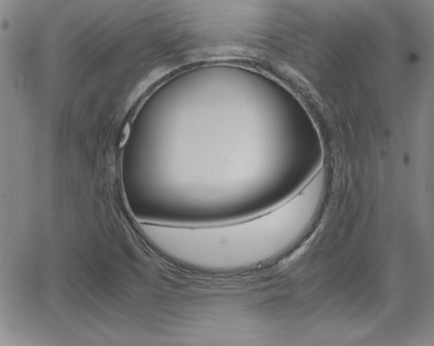 X0000062151457200512090938