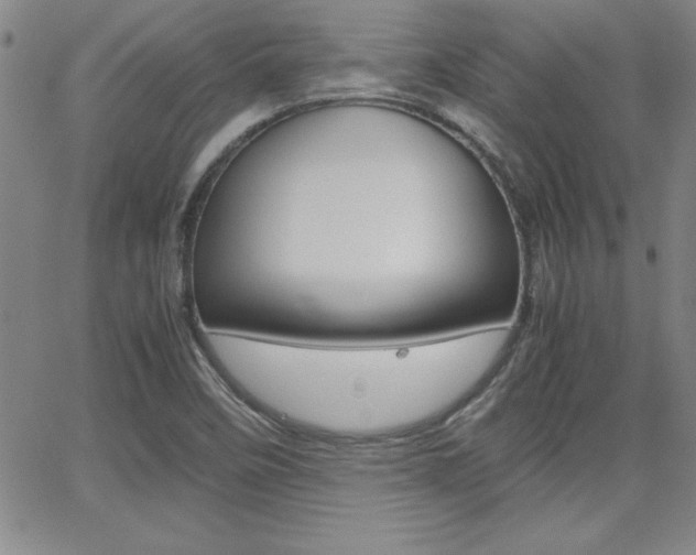 X0000062151458200512090938
