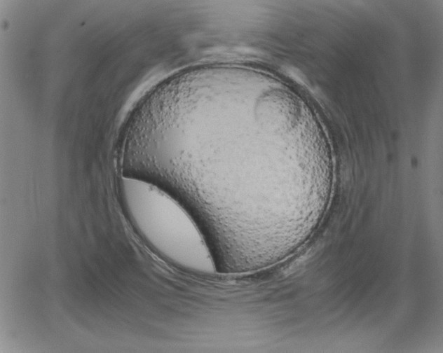 X0000062151459200512090938
