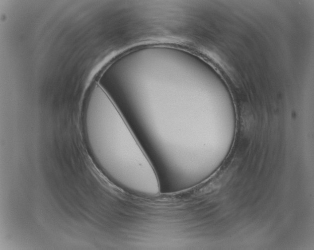 X0000062151460200512090938