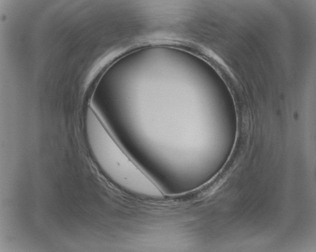 X0000062151461200512090938