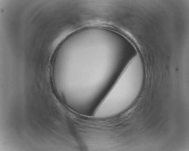 X0000062151463200512090938