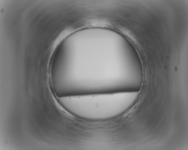 X0000062151471200512090938