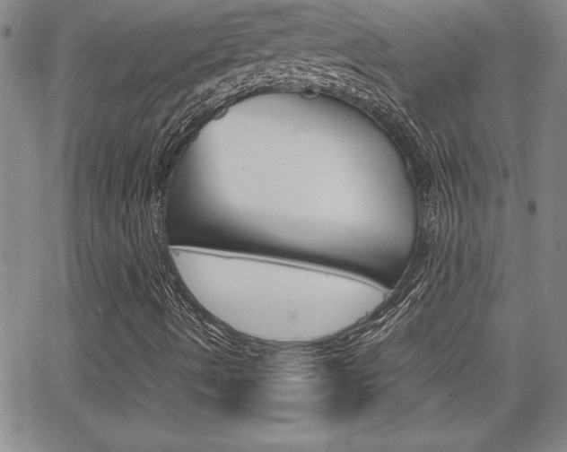 X0000062151490200512090937