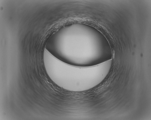 X0000062151492200512090937