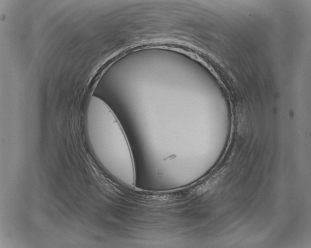 X0000062151497200512090937