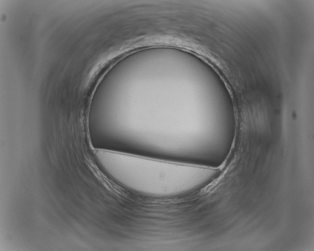 X0000062151499200512090937
