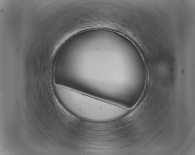 X0000062151500200512090937