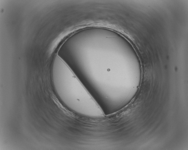 X0000062151503200512090937