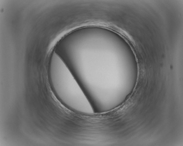 X0000062151504200512090937