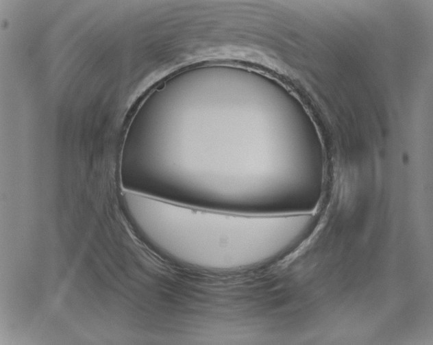 X0000062151505200512090937