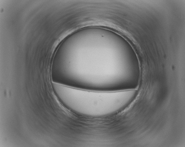 X0000062151513200512090937
