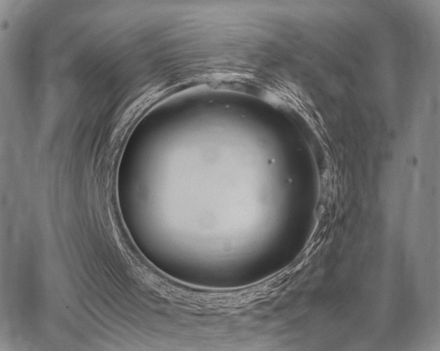 X0000062150001200512091326