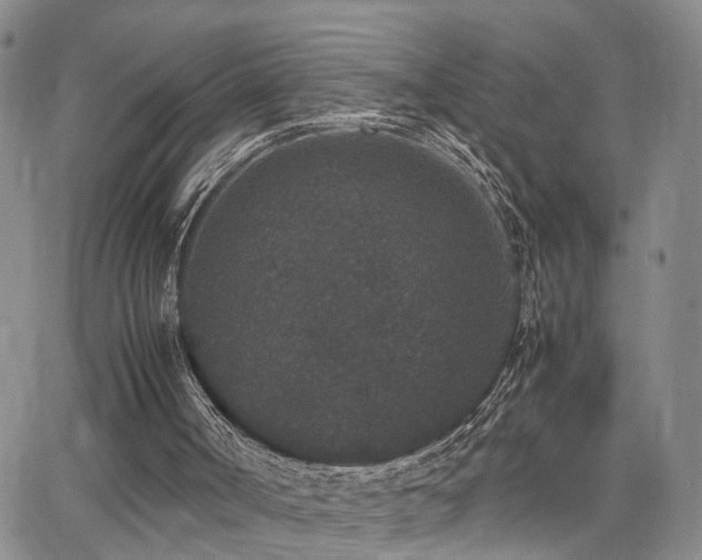 X0000062150002200512091326