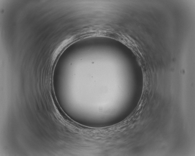 X0000062150003200512091326