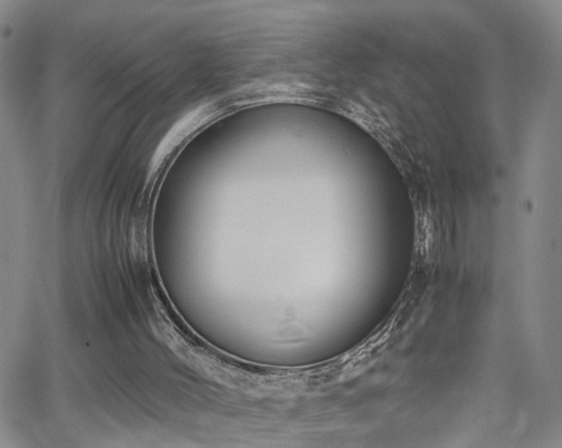 X0000062150004200512091326