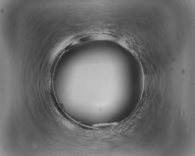 X0000062150005200512091326