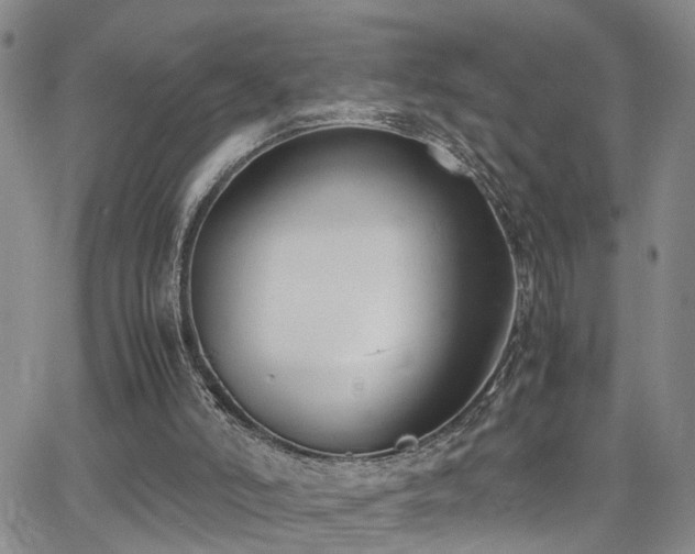 X0000062150006200512091326