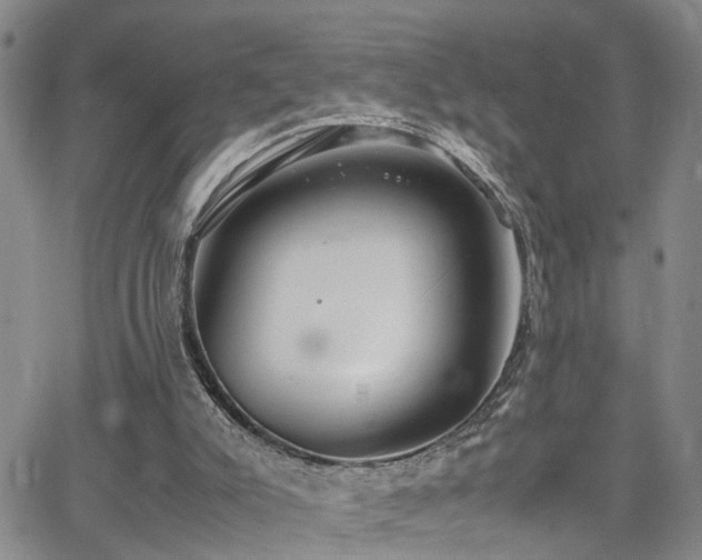 X0000062150007200512091326