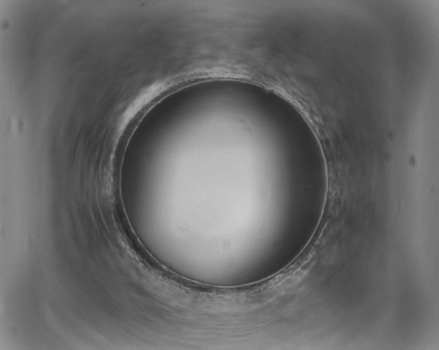 X0000062150008200512091326